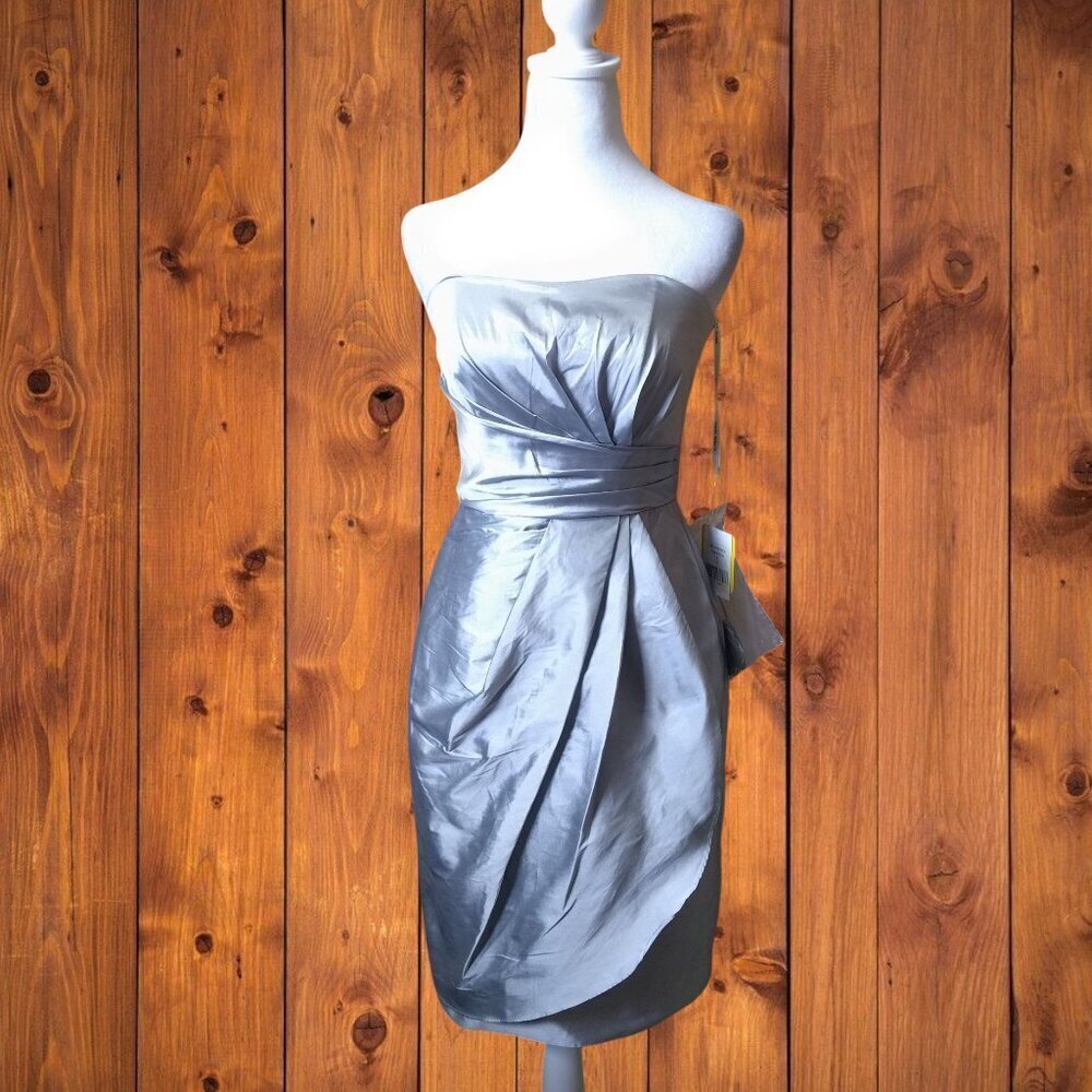 Alfred Sung Size 4 "Veronica" Dress French Gray Sleeveless Formal Prom Event